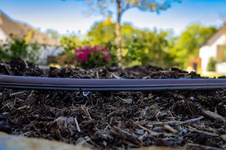 Drip Irrigation