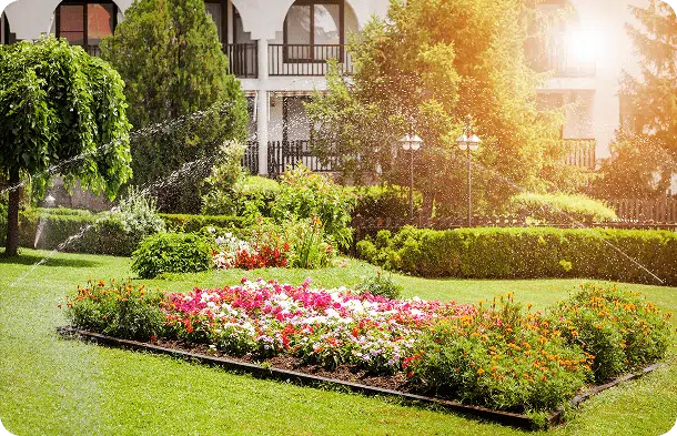 Custom Irrigation Design