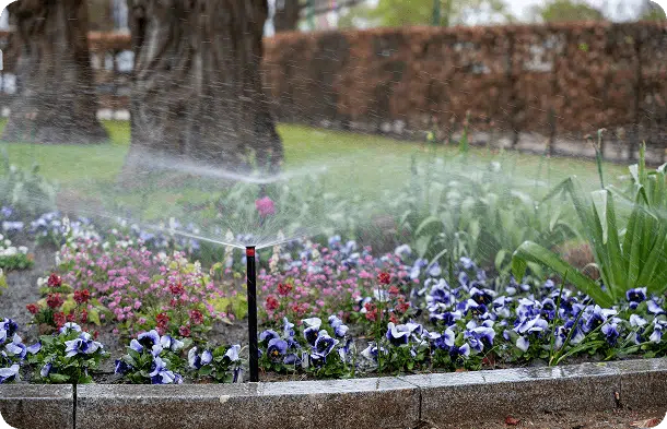 Water-Efficient Irrigation
