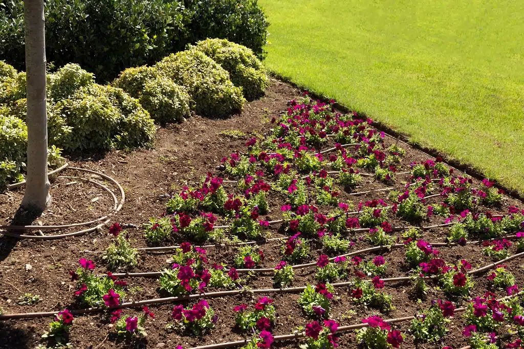 Drip Irrigation Installation Services in Plano, TX, Serving All of Collin and Grayson Counties