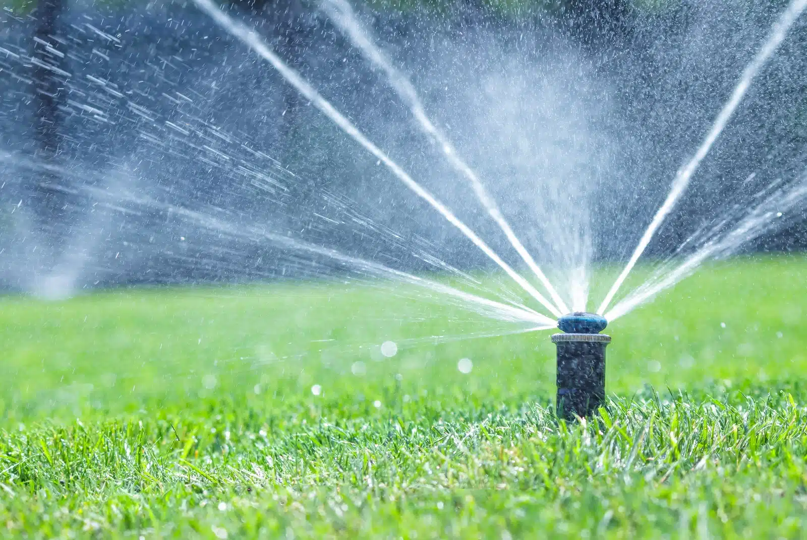 How to Identify and Repair Common Sprinkler System Problems Before They Get Worse