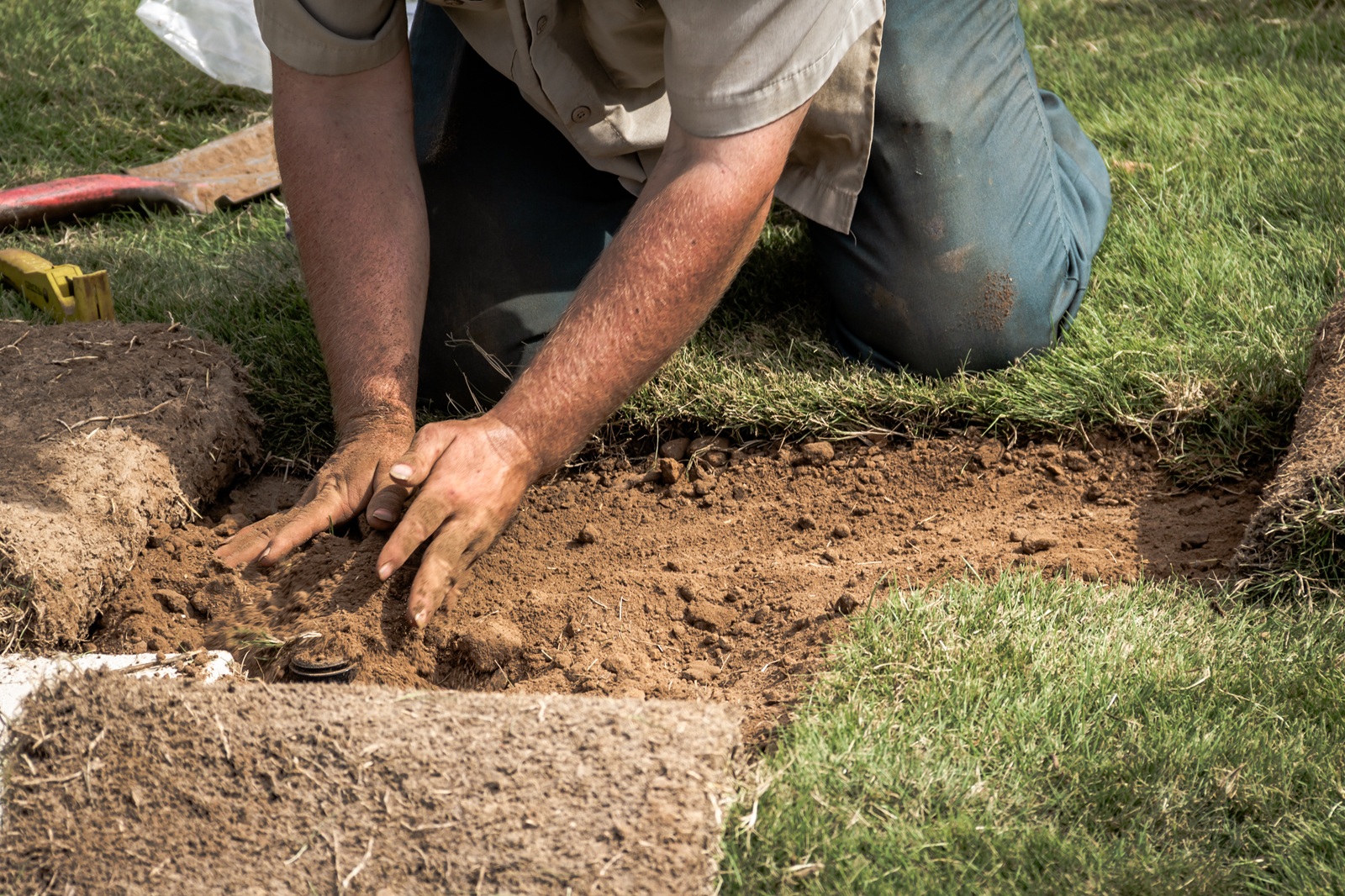 Irrigation and Drainage for Fresh North Texas Sod: A New Homeowner’s Guide
