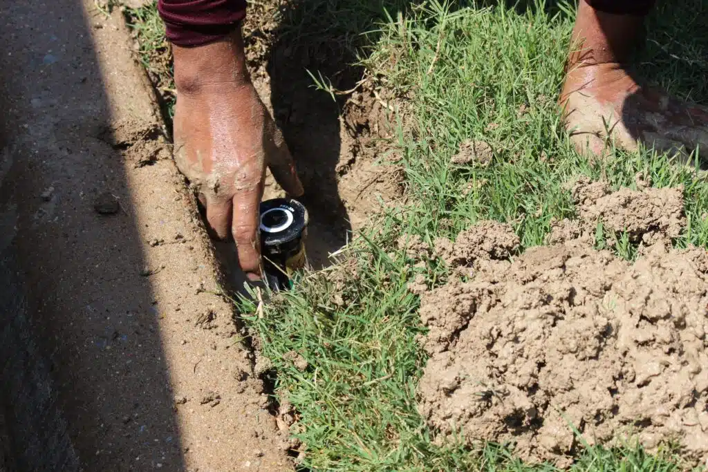 Sprinkler Head Replacement in Plano, TX