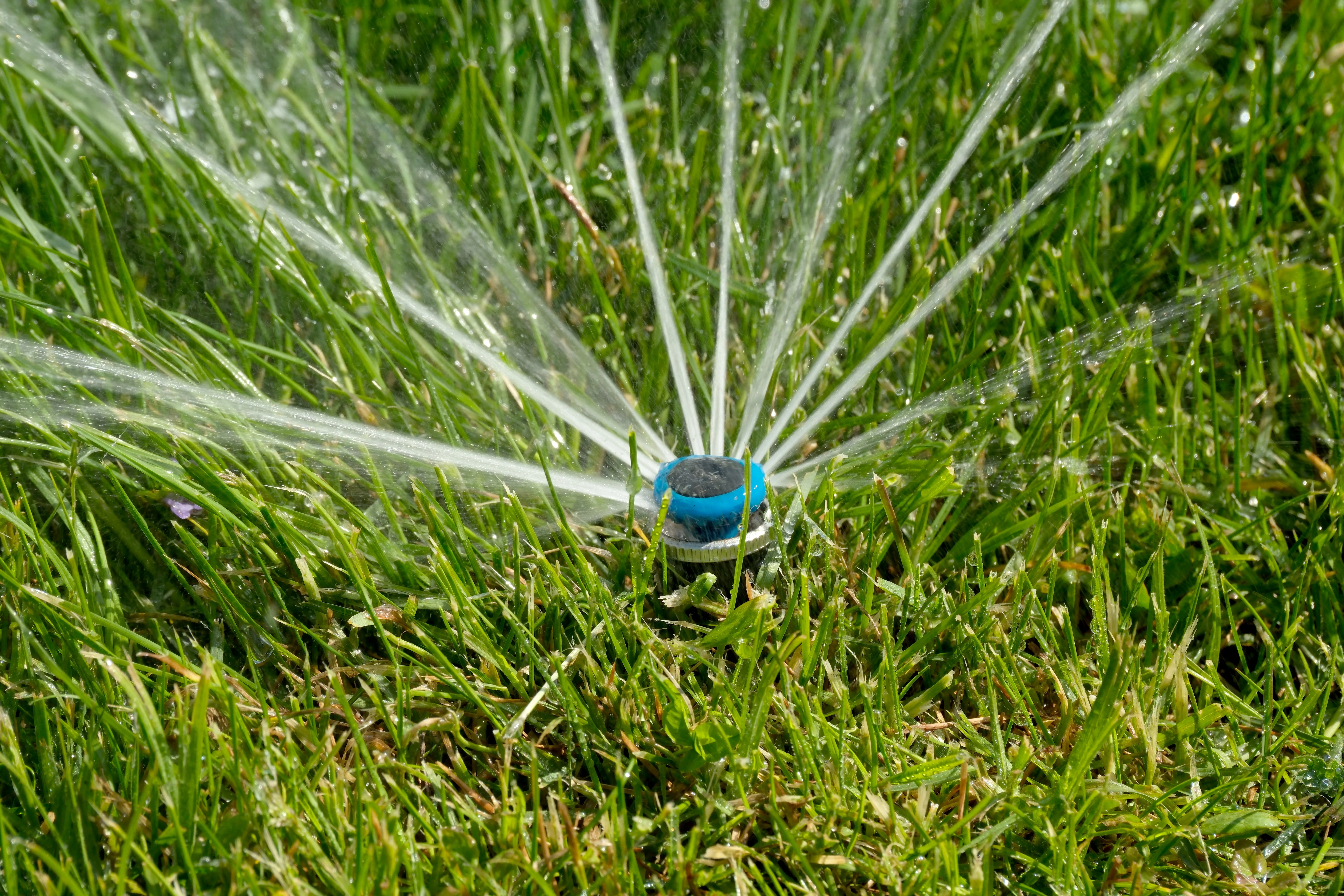 Sprinkler Repair & Irrigation Services in Murphy, TX