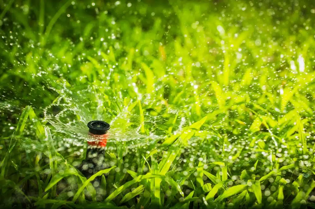 Sprinkler System