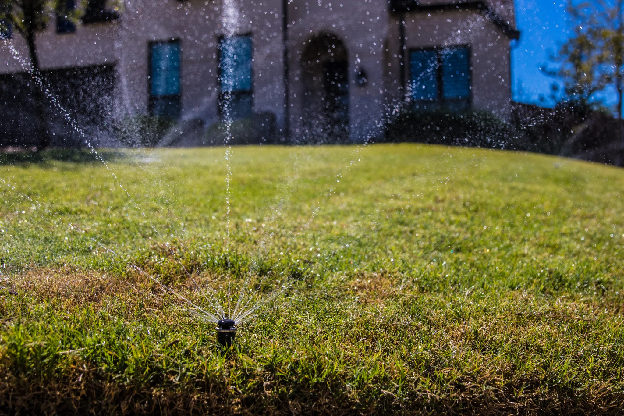 How to Maintain a Lush Lawn During Texas Summers