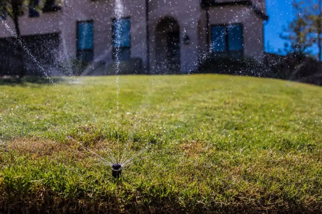 Water-efficient sprinkler system installed in Plano TX backyard