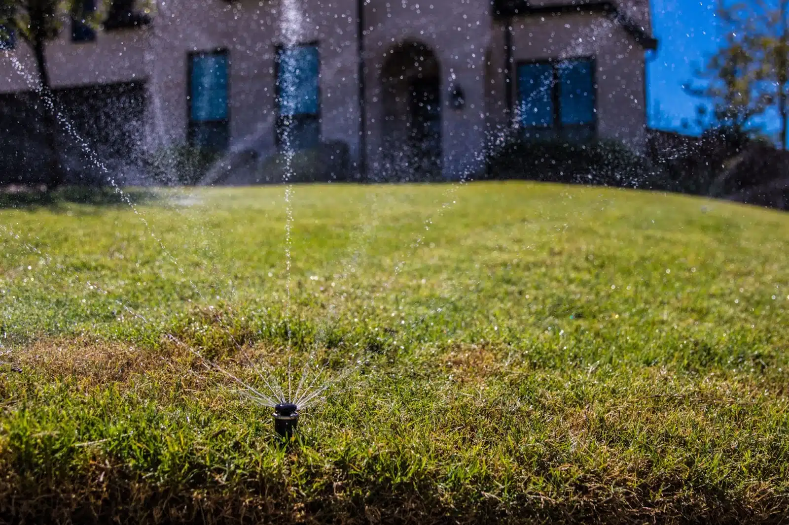 Why Homeowners in Plano, TX Are Choosing Water-Efficient Sprinkler Systems