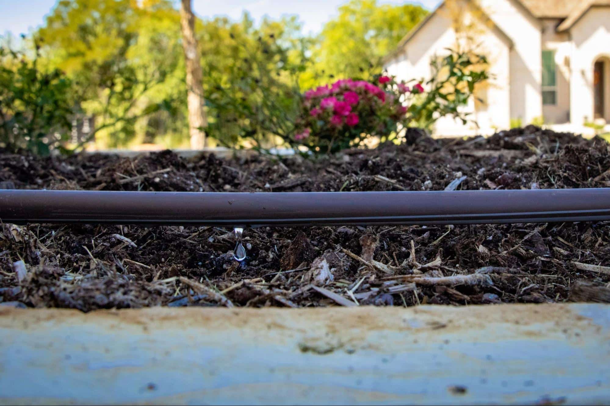 Why Frisco, TX Homes Need Efficient Irrigation Systems to Avoid Costly Water Damage