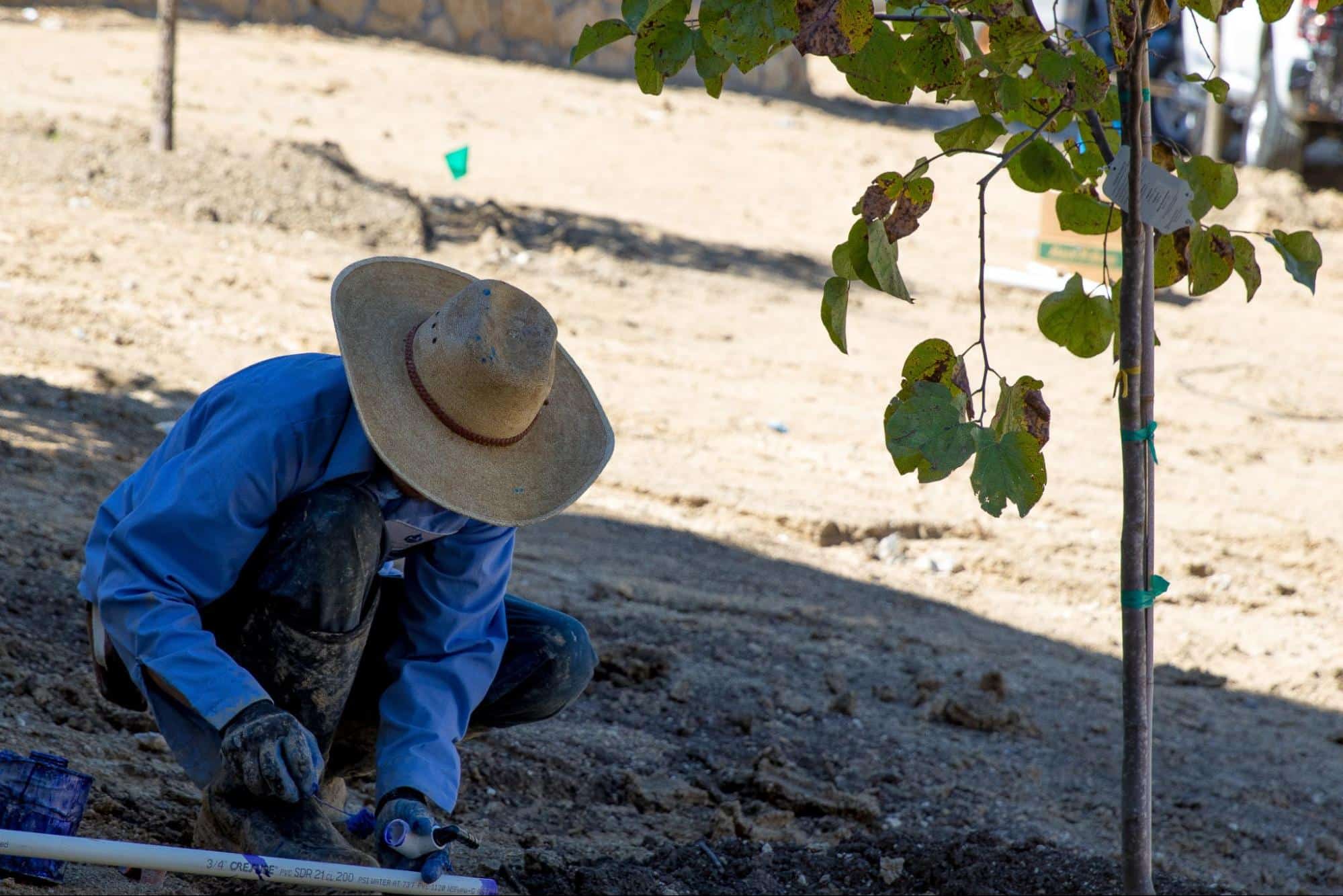 How Professional Sprinkler Repair Can Prevent Water Waste in Plano, TX