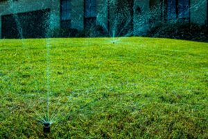 Healthy Plano lawn with proper watering and drought strategies