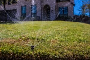 Water-efficient sprinkler system installed in Plano TX backyard
