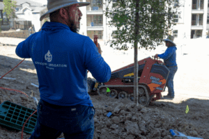 Effective water pooling solutions for yards in Plano Texas