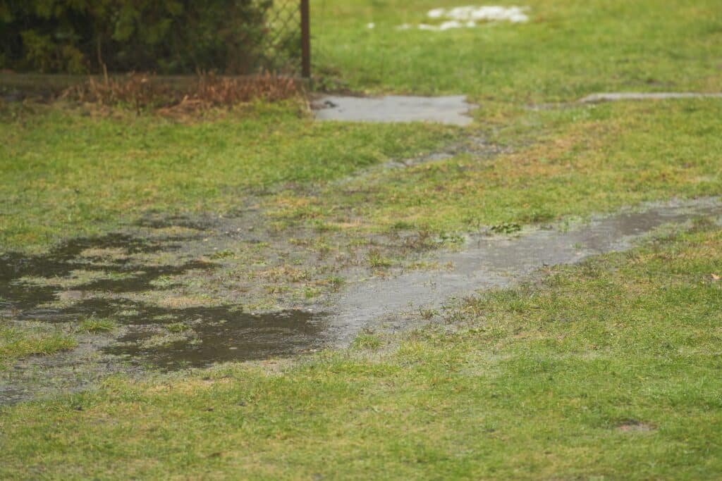 How to prevent yard erosion in Plano Texas