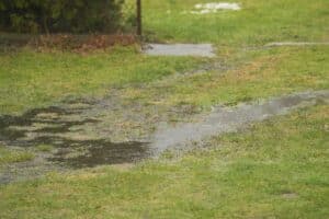 How to prevent yard erosion in Plano Texas