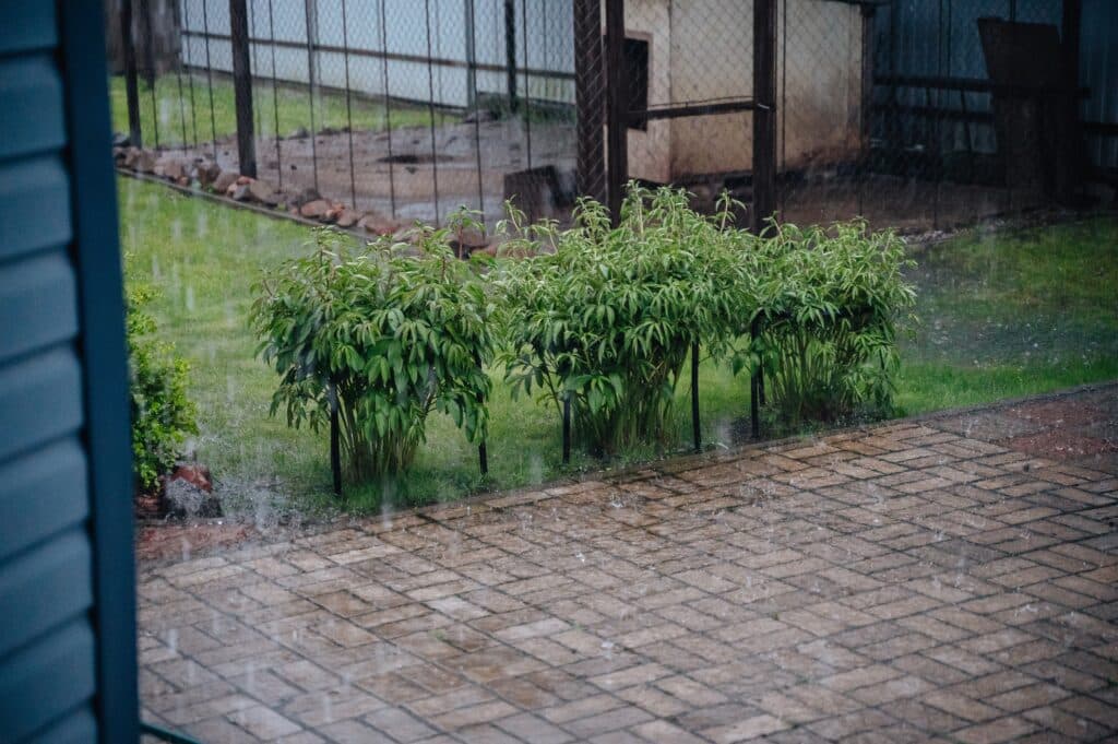 Frisco yard with standing water after heavy rainfall