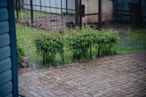 Frisco yard with standing water after heavy rainfall