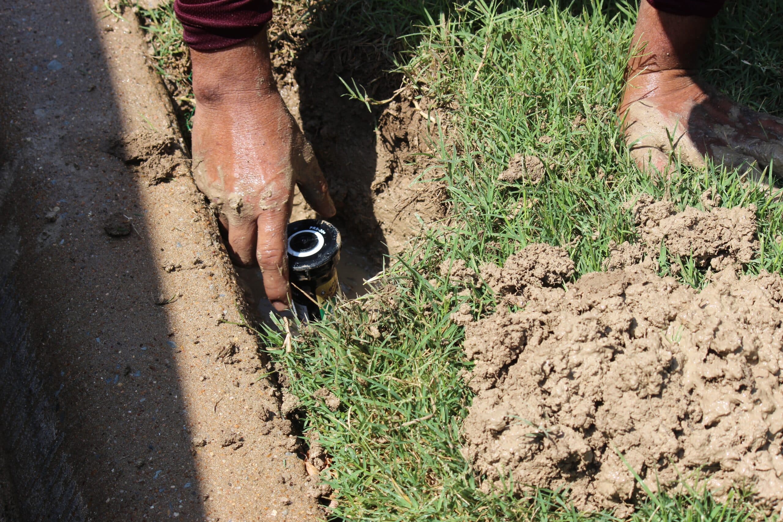 Seasonal Sprinkler Maintenance Tips for Plano, TX Homeowners